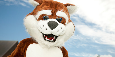 Bearcat Mascot