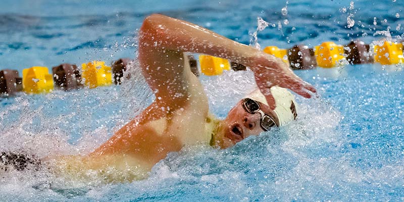 Julius Wilhelmi swims freestyle for the Bearcats.